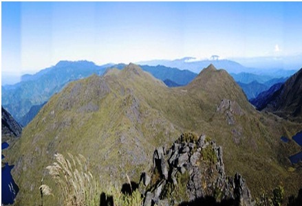 Subalpine Paramo