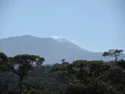 TERRESTRIAL