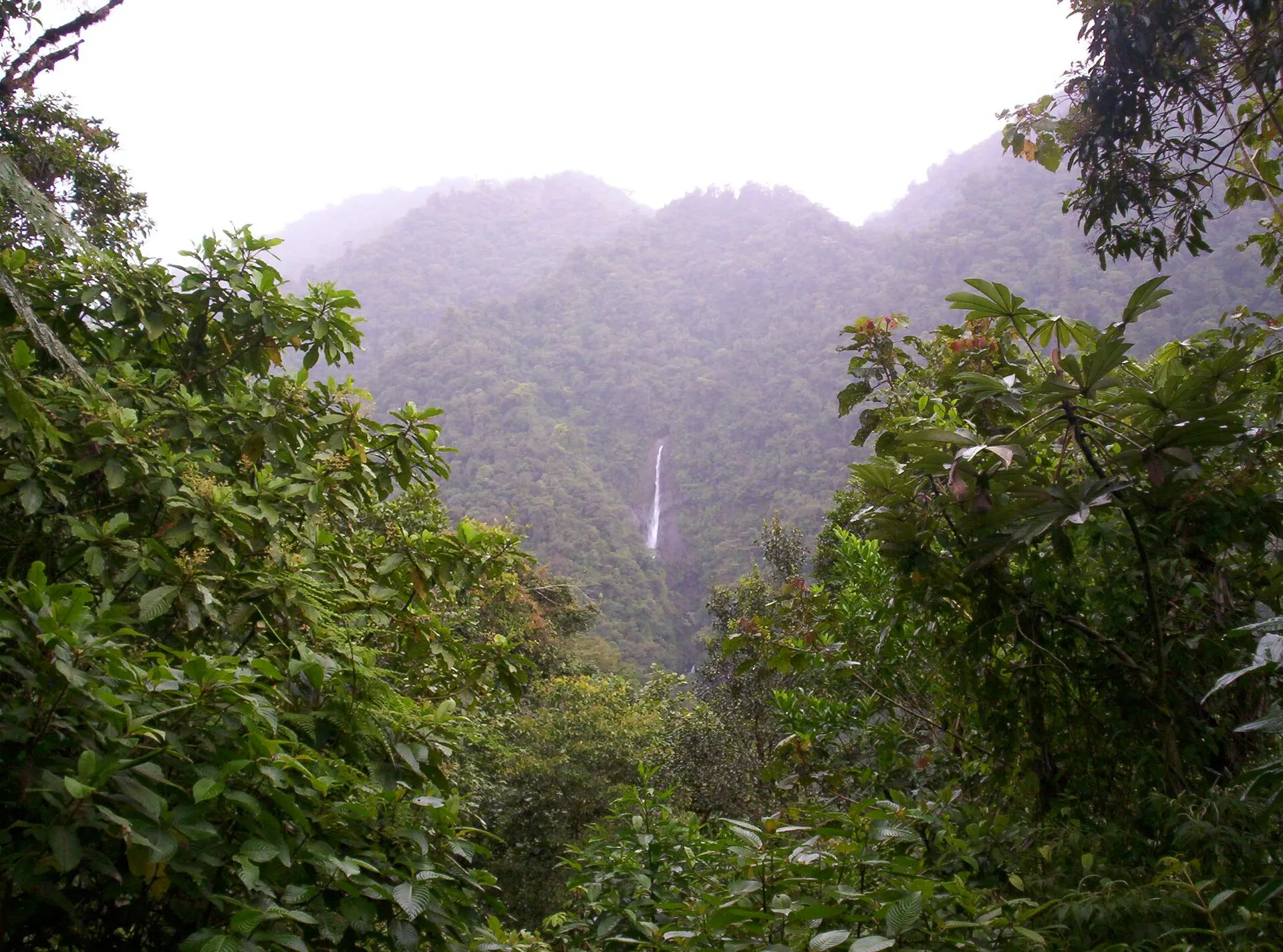 Tapantí – Macizo de la Muerte National Park