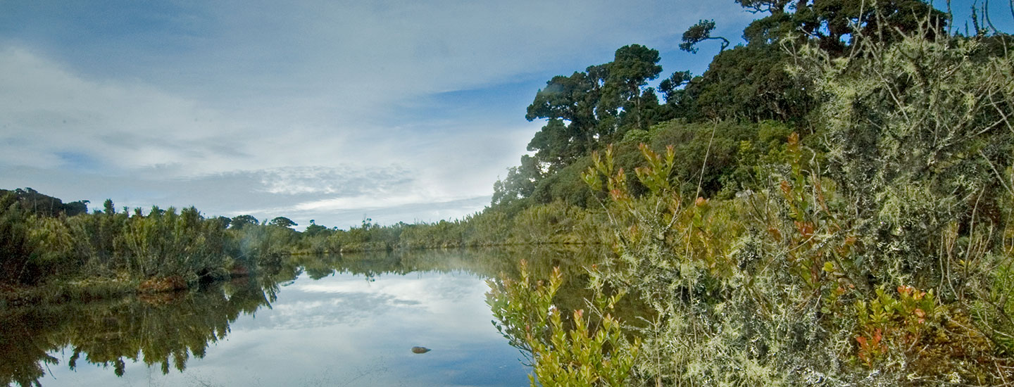 Los Quetzales National Park